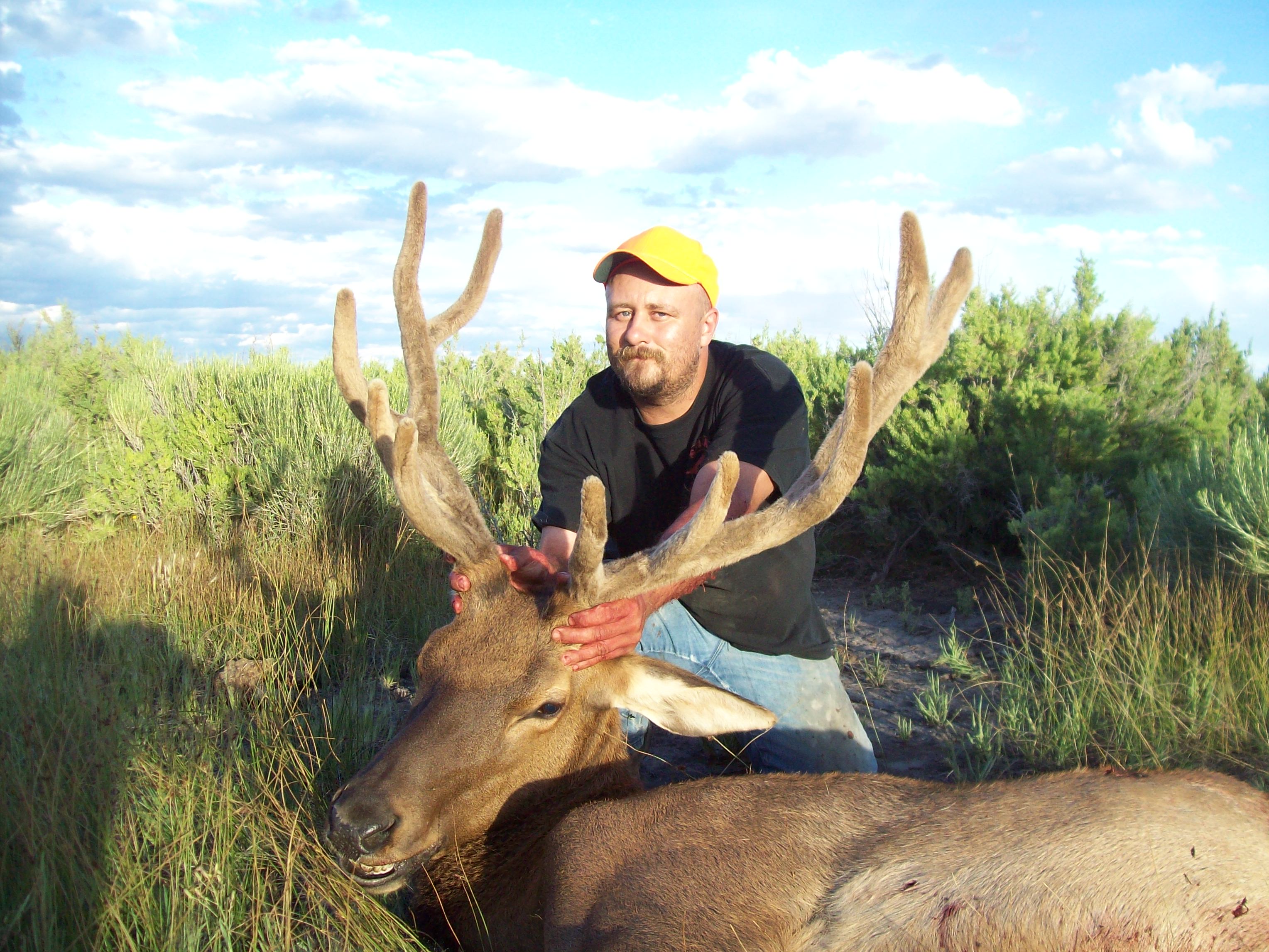 Elk Guides and Outfitters