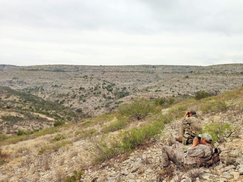 wyoming mule deer hunting