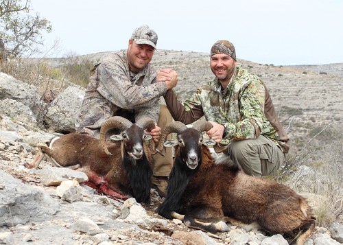 wyoming elk hunting