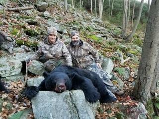 black bear Colorado