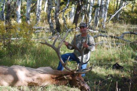 wyoming elk hunting