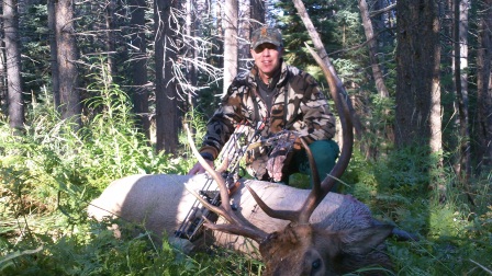 Colorado elk hunts