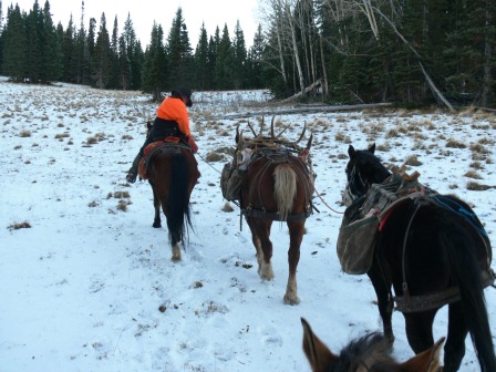 Colorado elk guides deer hunting