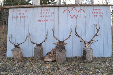 wilderness elk hunting in colorado