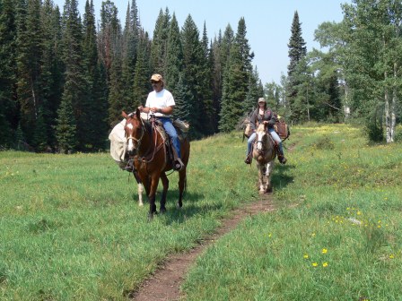 Colorado elk hunting outfitters