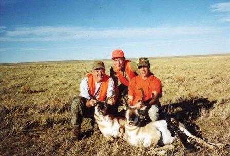 wilderness elk hunting in colorado