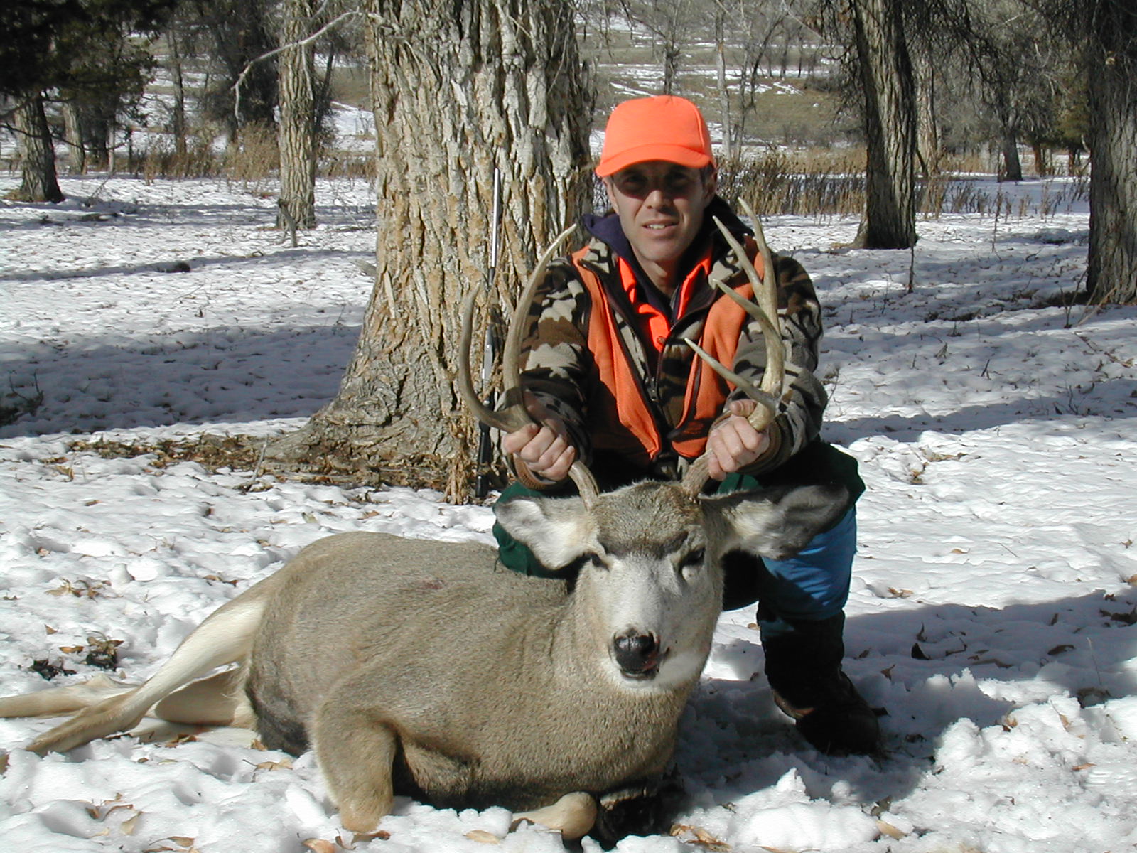 Colorado elk guides deer hunting